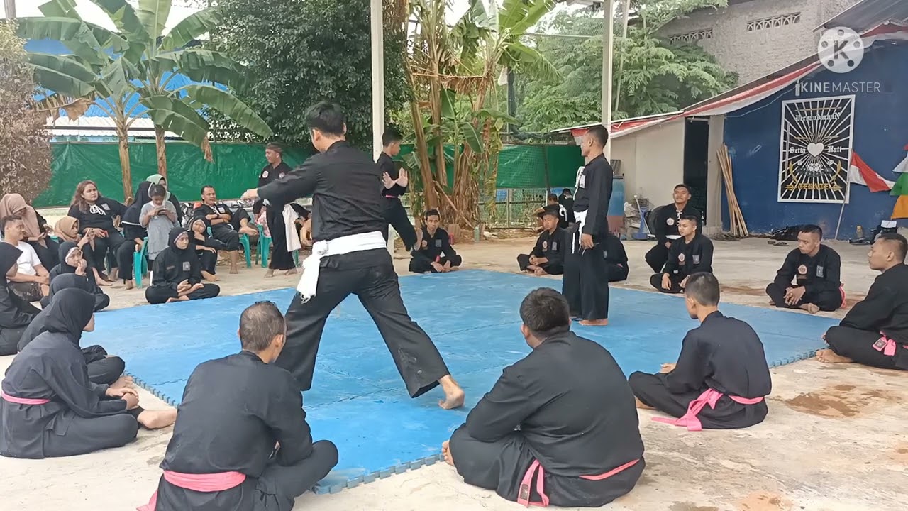 sambung jatahan siswa jambon vs warga ‼️ PSHT RAYON TAMAN KOTA