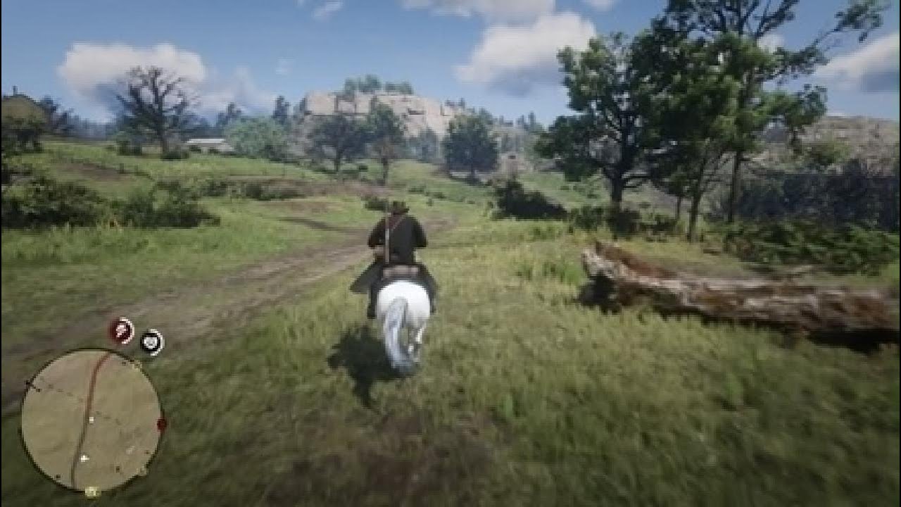 RDR2 - ????