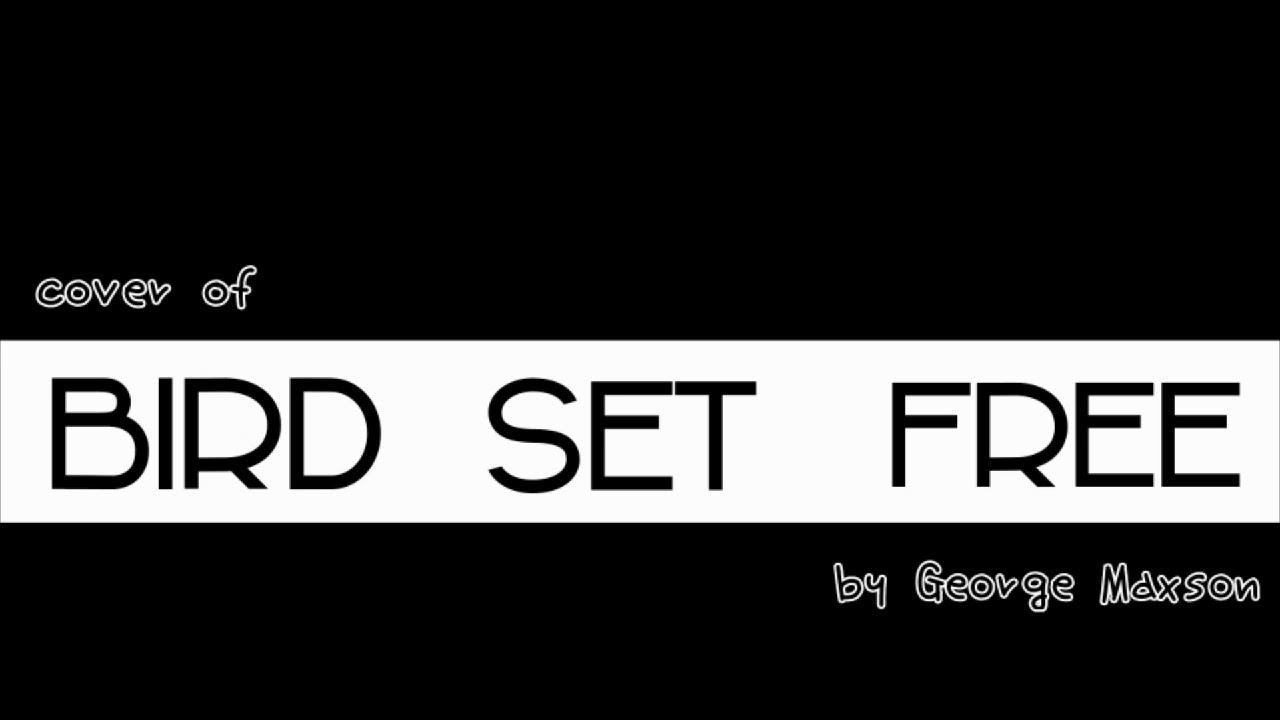 Bird Set Free (Sia) | Cover By George Maxson