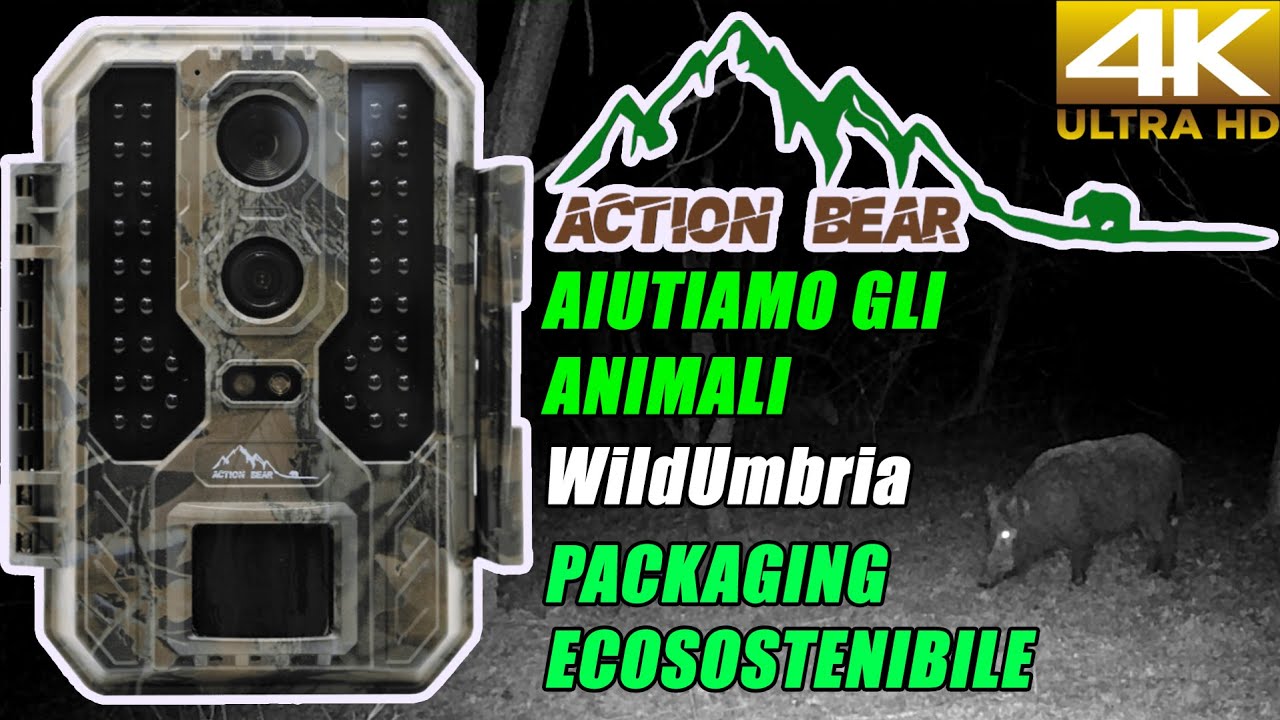 ACTION BEAR - FOTOTRAPPOLA ITALIANA !!!