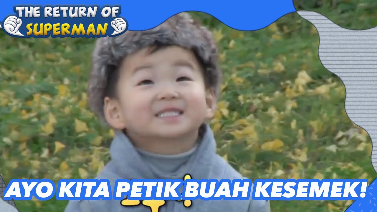 Ayo Kita Petik Buah Kesemek! |Nostalgia Superman|SUB INDO/ENG|151227 Siaran KBS WORLD TV|