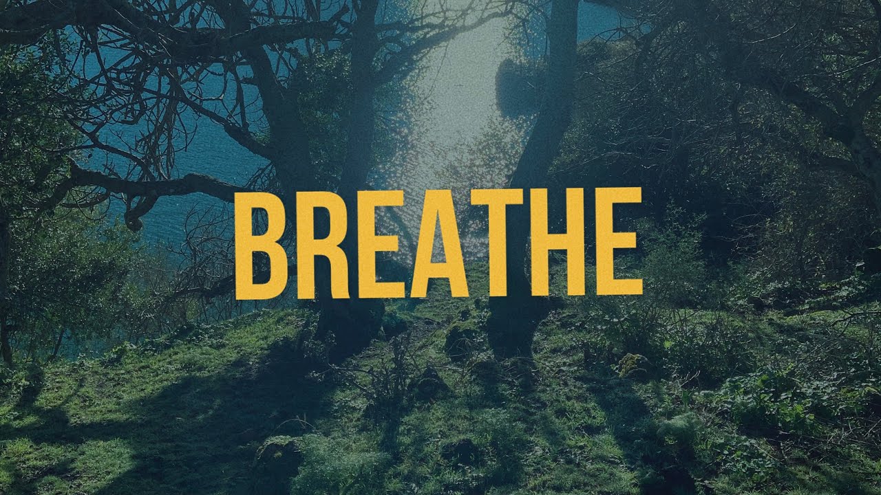 When life feels heavy | nature sounds | outdoors 