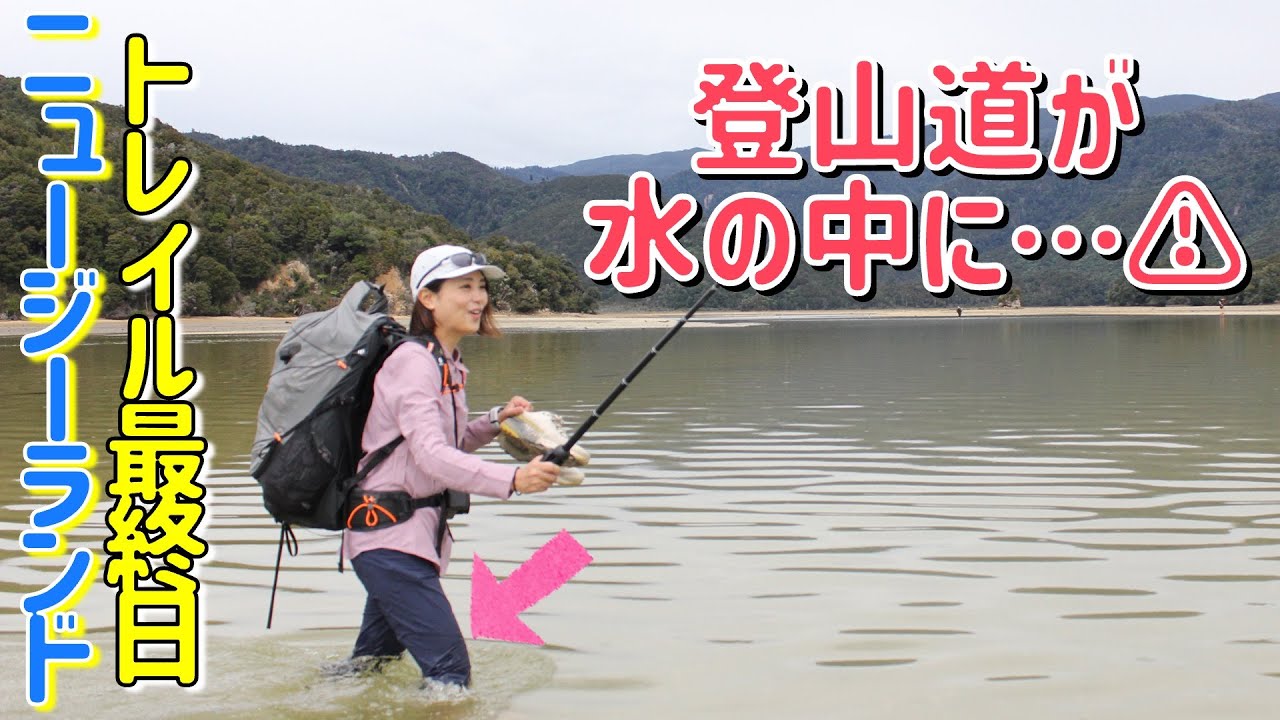 【ニュージーランド④】アザラシに遭遇！登山道が水の中！プロペラ機搭乗！思い出満載のNZ旅が楽しすぎた！