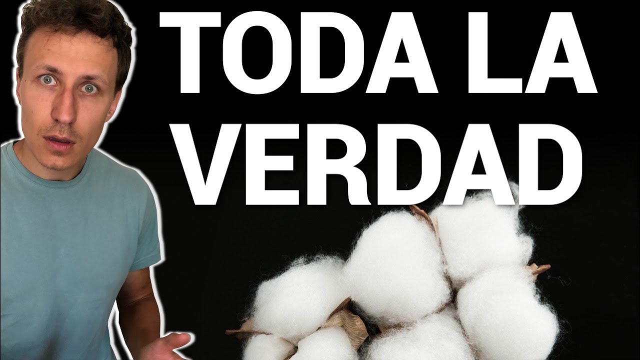 3 BULOS de la Ropa Ecológica: Algodón orgánico, Poliéster reciclado y ropa vegana.