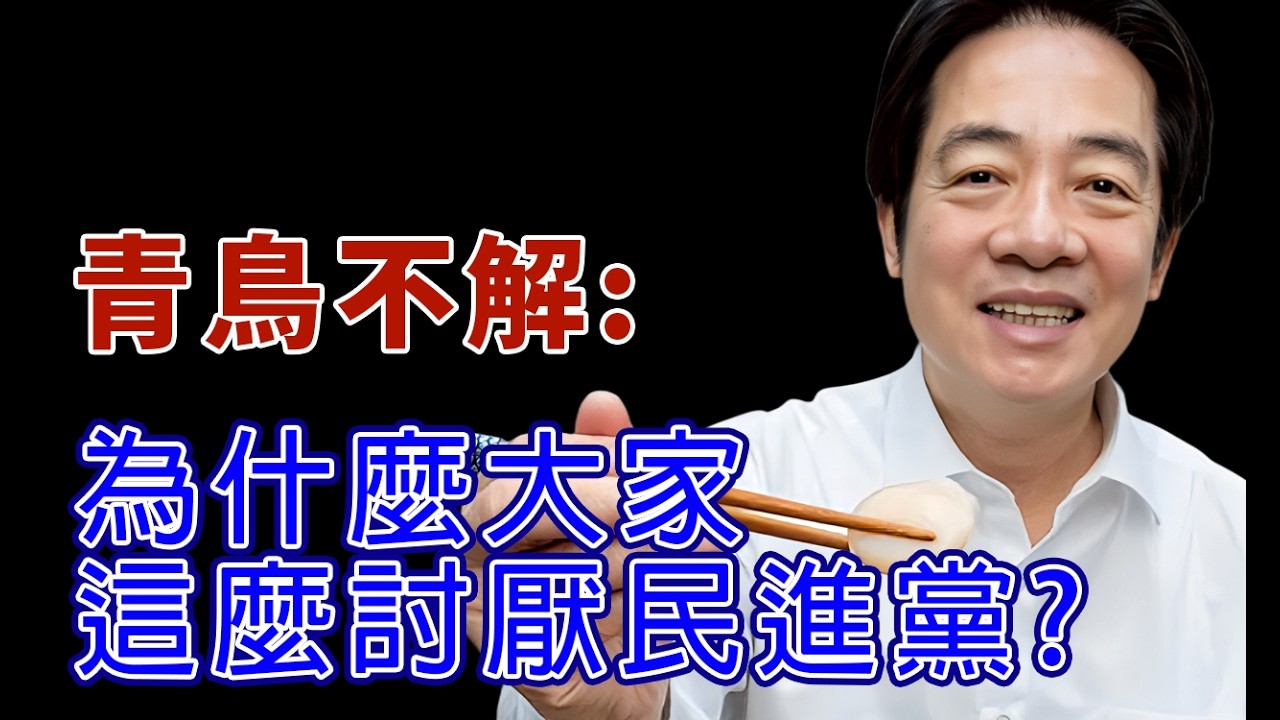 青鳥反問：為何大家討厭民進黨? #民進黨 #柯文哲 #賴清德