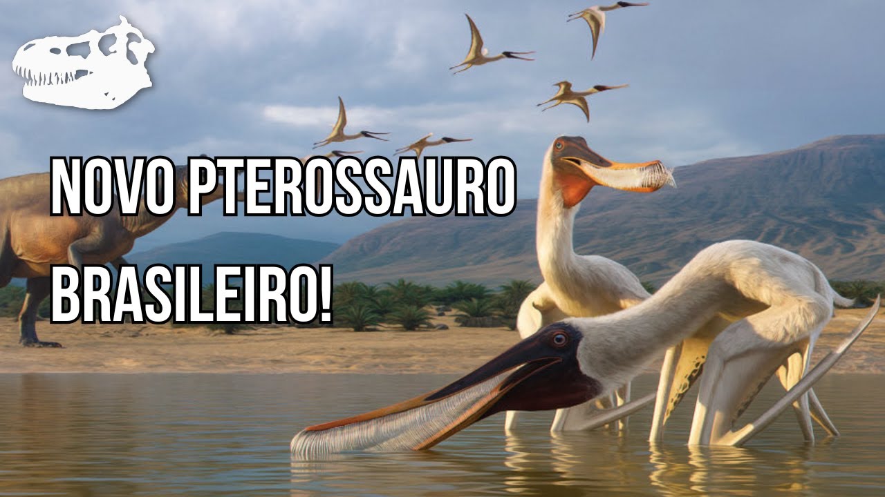 Bakiribu, o primeiro pterossauro filtrador do Brasil!