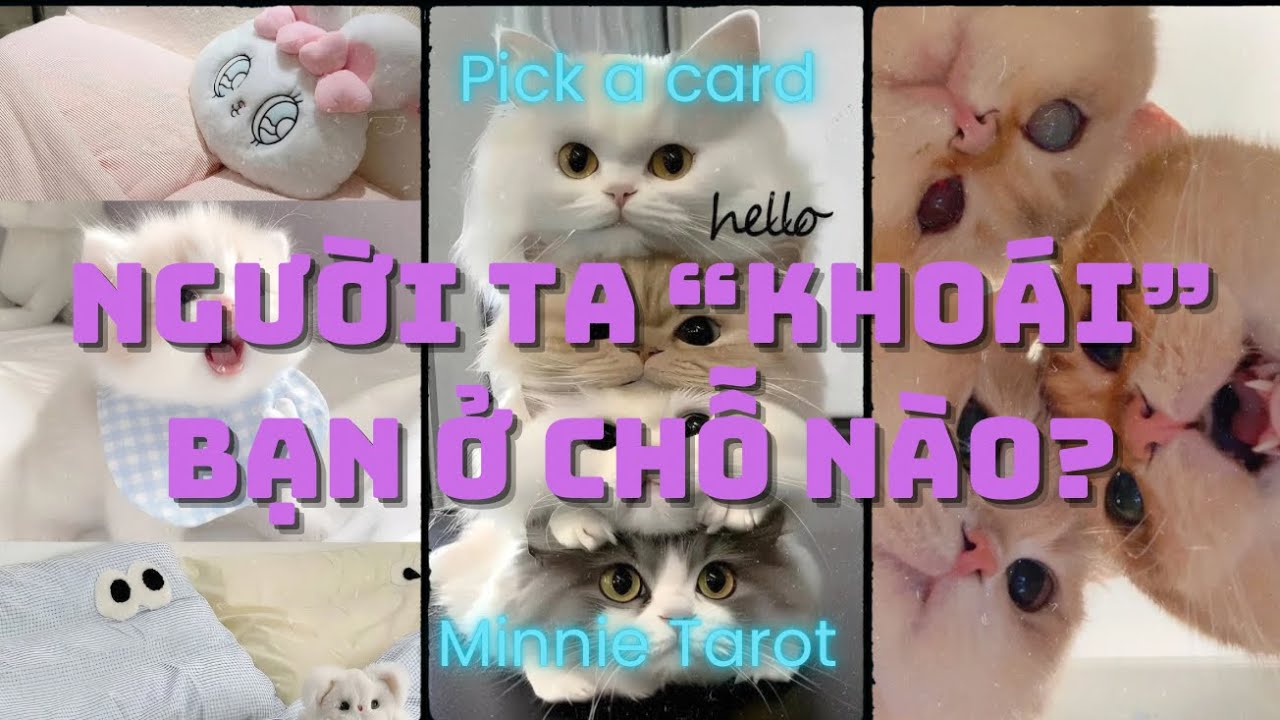 😍 Người ta “Khoái” bạn ở chỗ nào 😘 | Minnie Tarot 