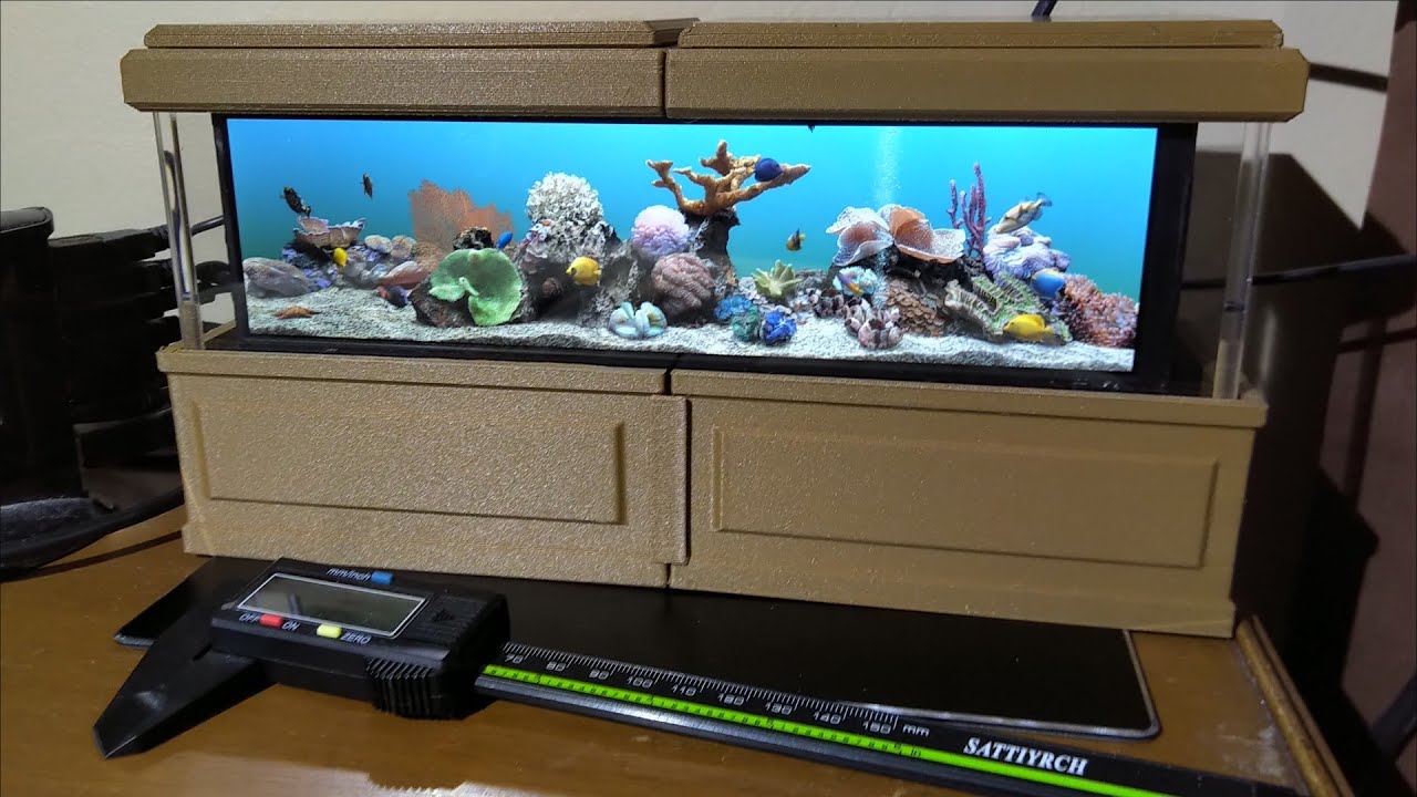 The Rockpiquarium