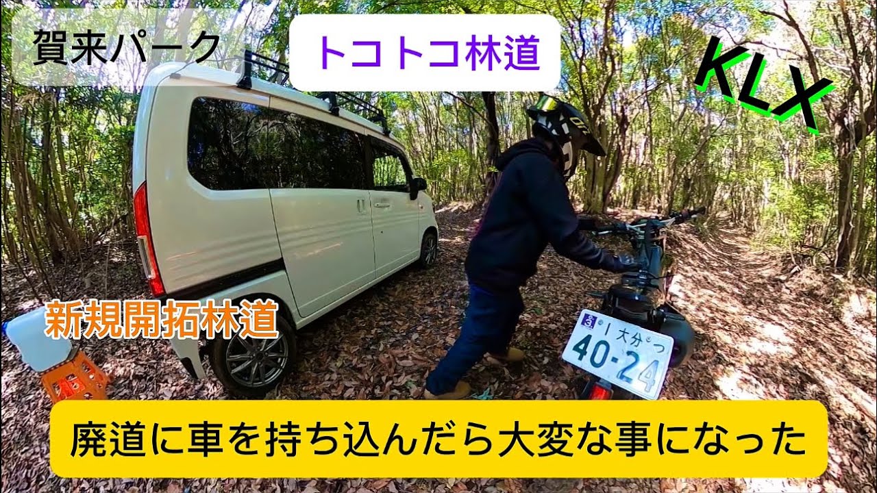 近所の山で遊ぶ トコトコ林道 何回もコケた