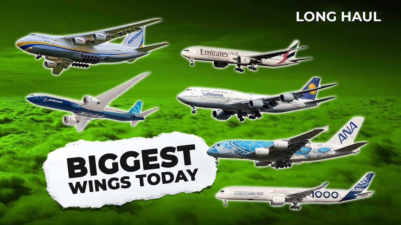 The Biggest Wings in Airline Aviation (Top 6)