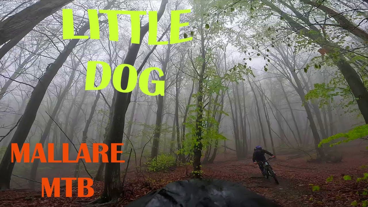 Little Dog - Mallare MTB - 12/04/2025