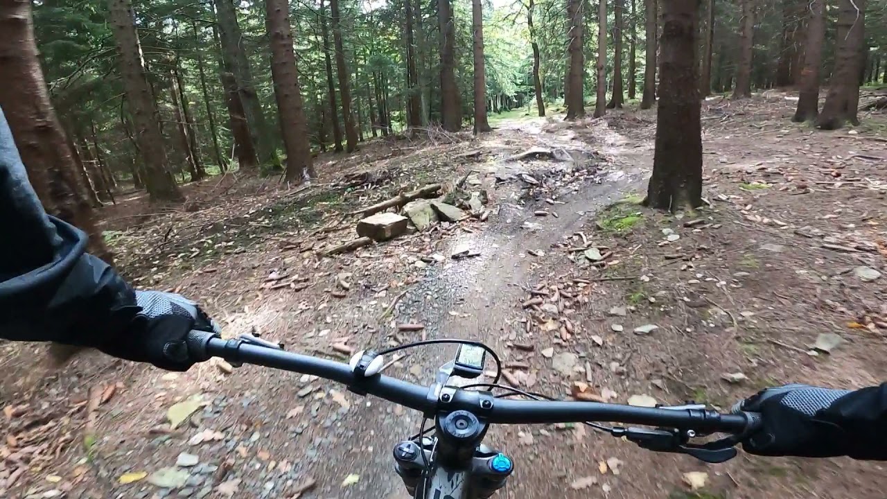 Singletrack ZAJĘCZNIK-dartmoor primal.