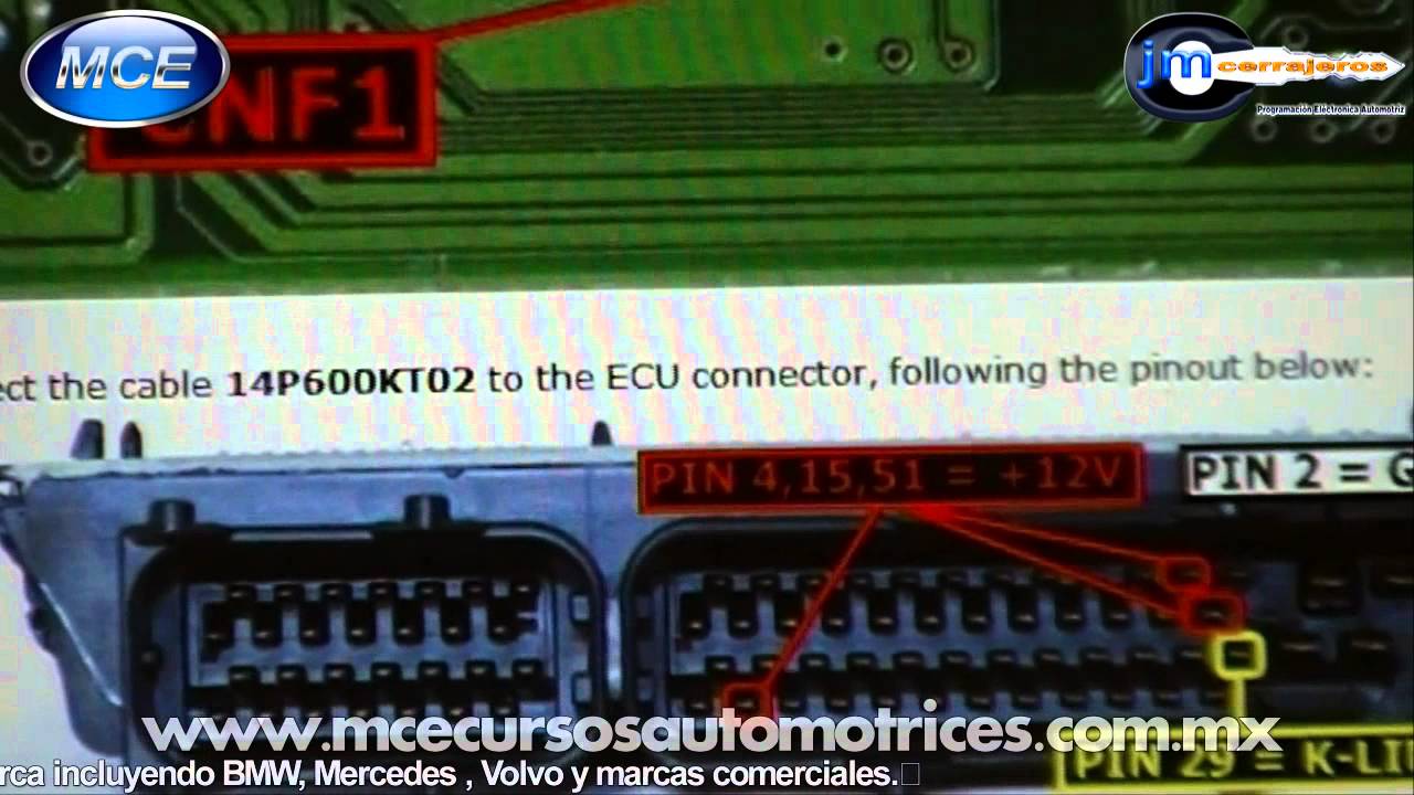 📌Descubre 3 Poderosas Funciones del lector K-TAG que te garantizan tener información al instante.