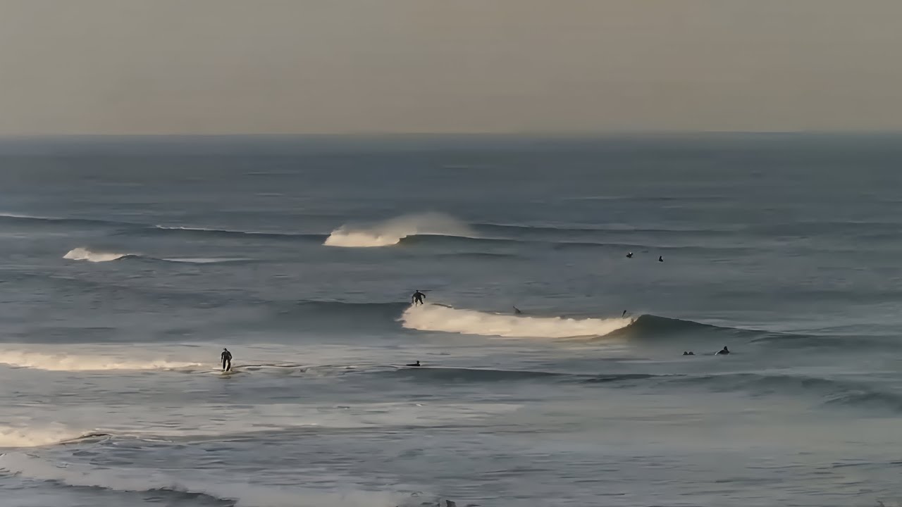 25.1.26 Best Waves, 6'10 Singlefin Gato Asid Egg 