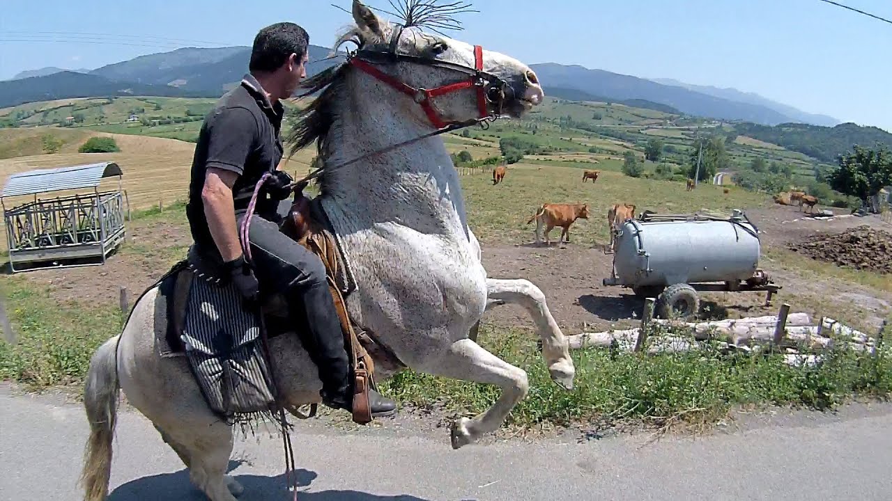 RUTA A CABALLO ALONSOTEGI-ORDUÑA. PAIS VASCO