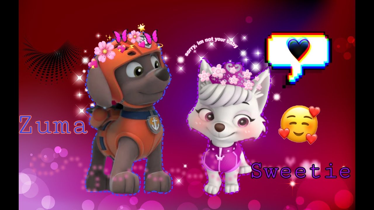 🌼Зума и Свитти🌼~ для канала Toy Bonnie/🐾Zuma x Sweetie🐾~ for Toy Bonnie channel.