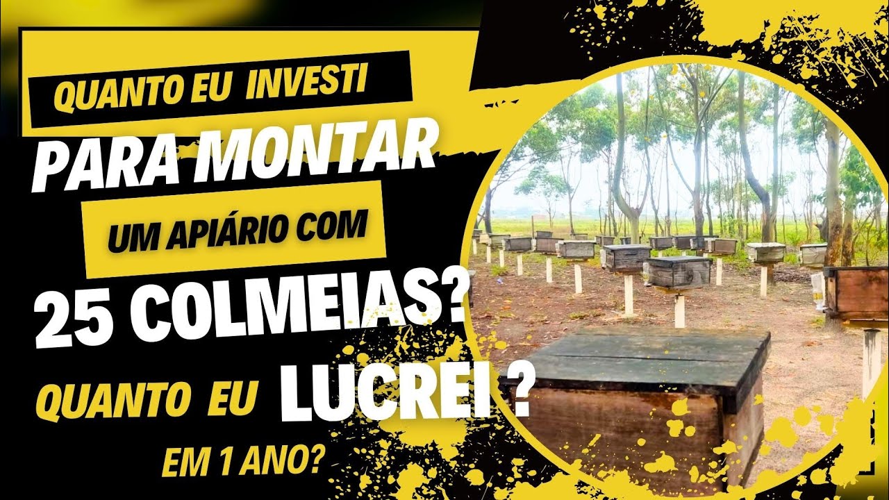 QUANTO EU INVESTI, E QUANTO EU LUCREI EM UM API&Aacute;RIO DE 25 COLMEIAS? AULA COMPLETA #apicultura #miel