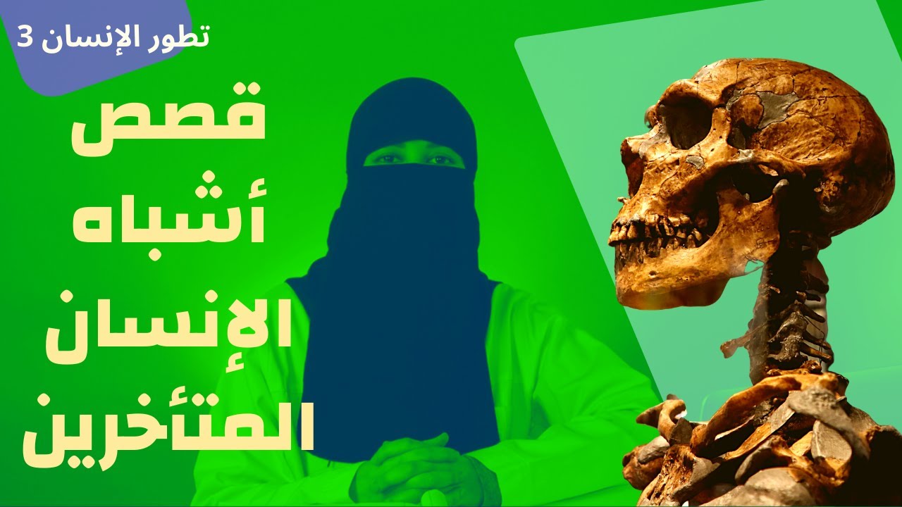 Hominins | أشباه الإنسان المتأخرين - تطور الإنسان