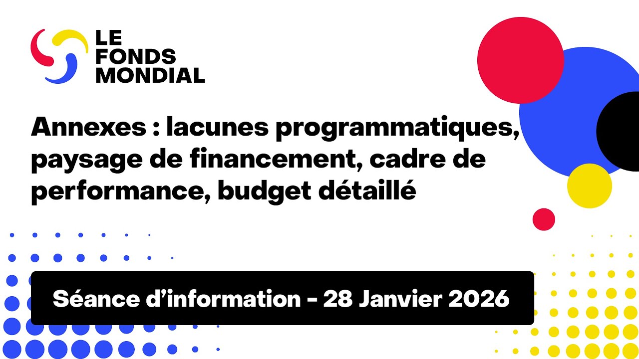 Annexes : lacunes programmatiques, paysage de financement, cadre de performance, budget détaillé