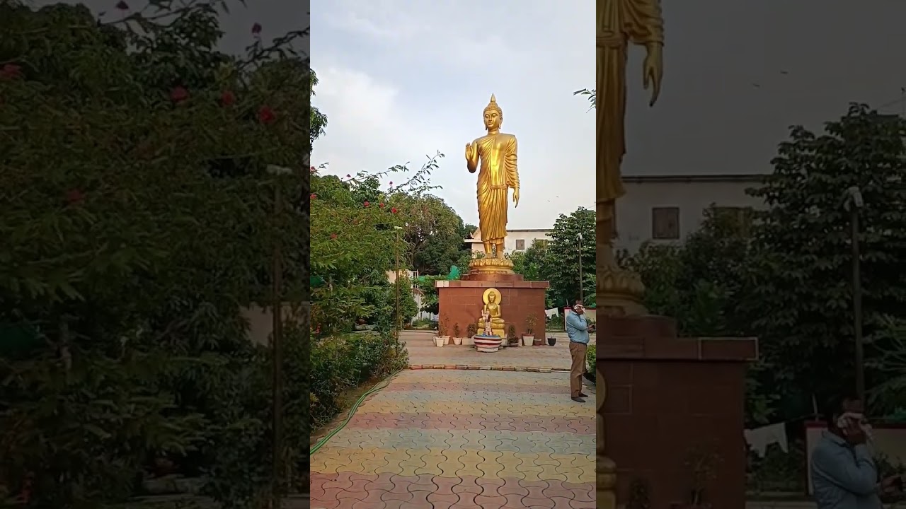 Gautam Buddha statue: all India bikkhu Sangha, golden Budha Bodh Gaya #shorts #buddha #bodhgaya