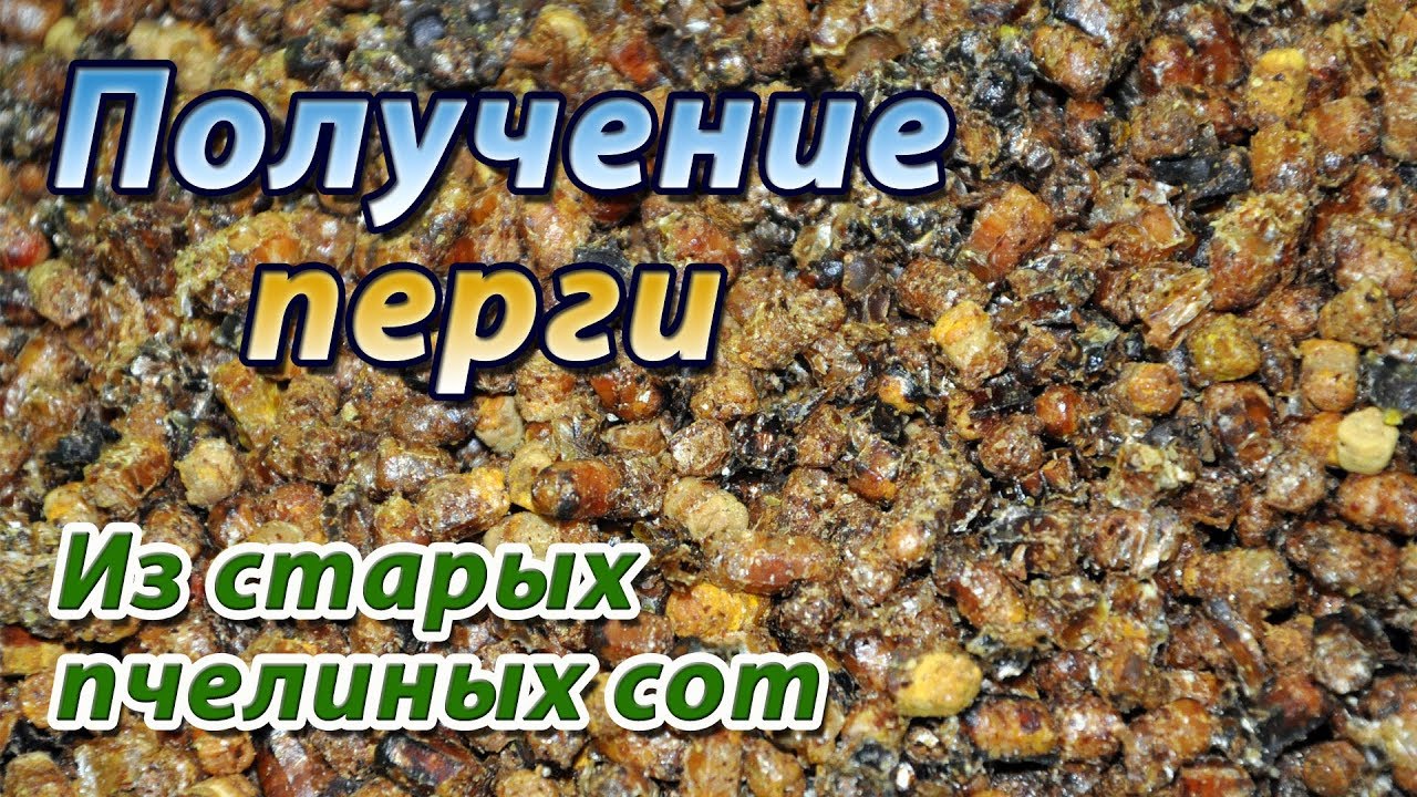 Получение перги из старых пчелиных сот на моей пасеке.