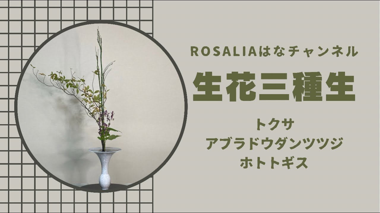 池坊【いけばな Ikebana】『生花三種生』新風体とは違う美しさを秋の花材で感じよう！【flower】 🌸 【生け方 How to make】