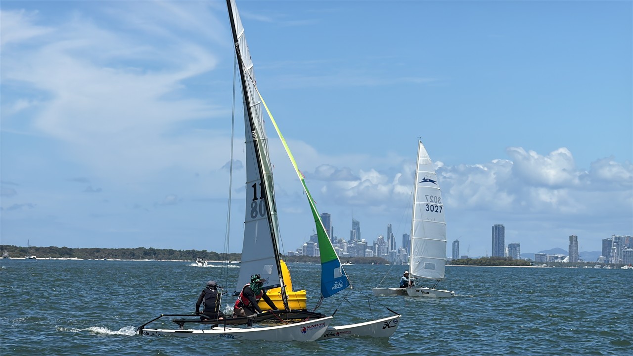 Cat weekend, SYC, Hollywell, Feb 2026
