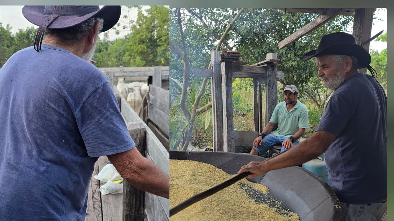 Na roça com meu pai: torrando farinha e mexendo no gado