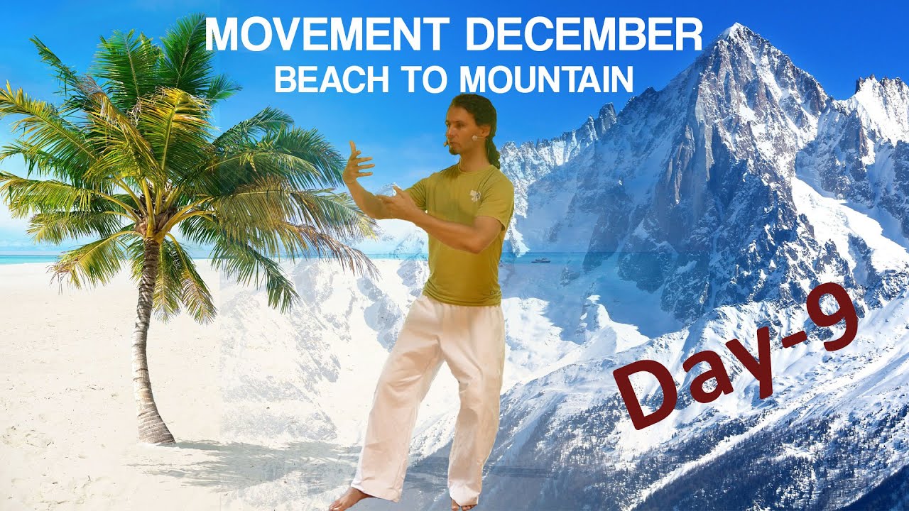 Standing Qigong Pose - Single Leg