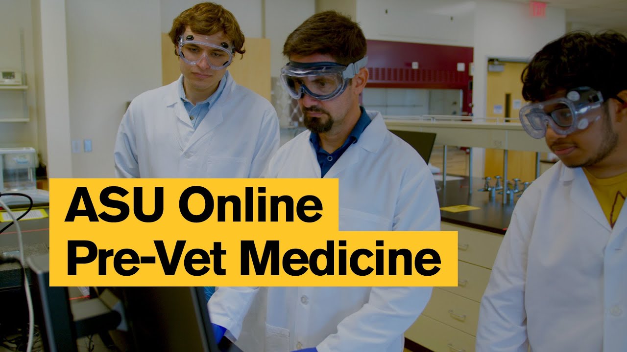 What is a pre-veterinary medicine degree? | ASU Online