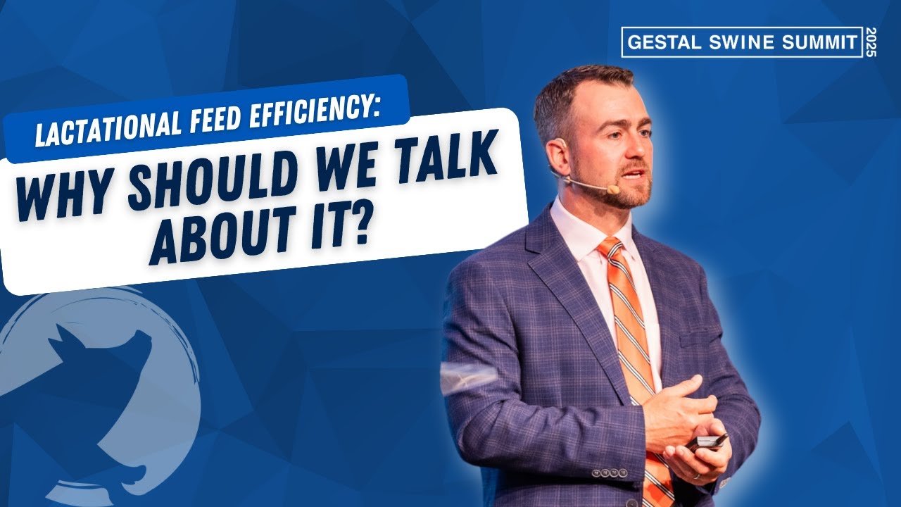 Lactational Feed Efficiency: Why Should We Talk About it?