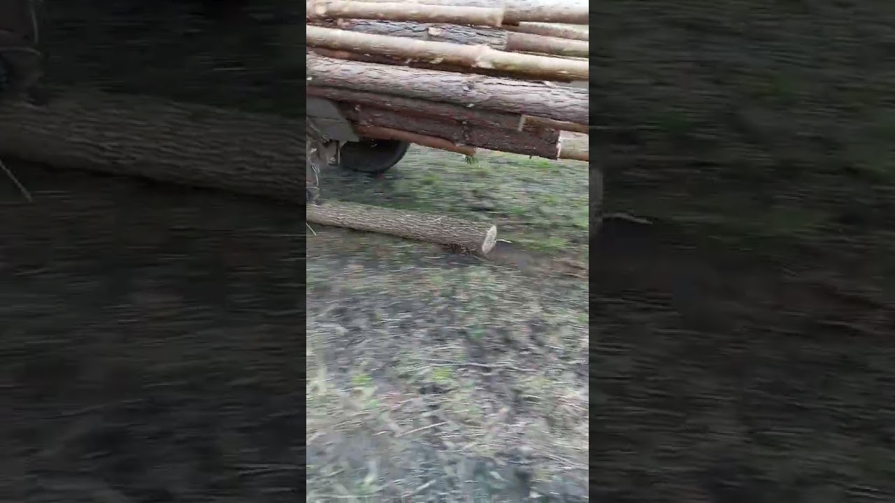 prevoz drva sa traktorom 😂 