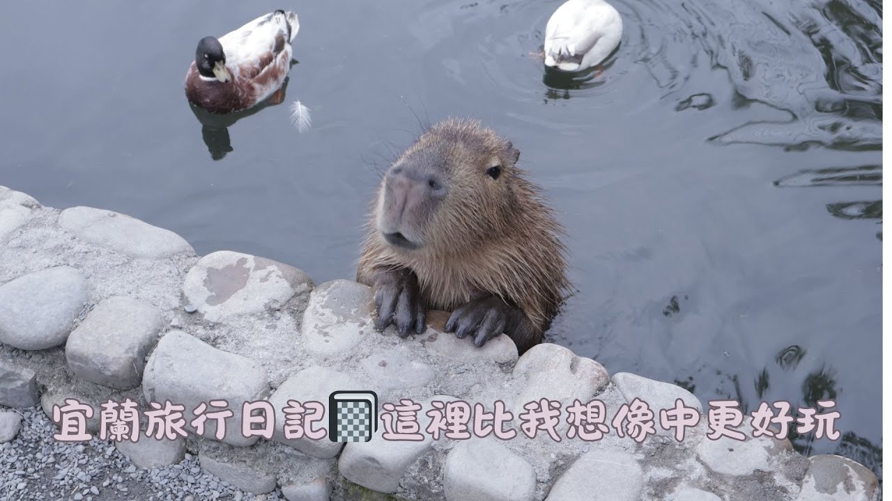 宜蘭旅行日記📓這裡比我想像中更好玩