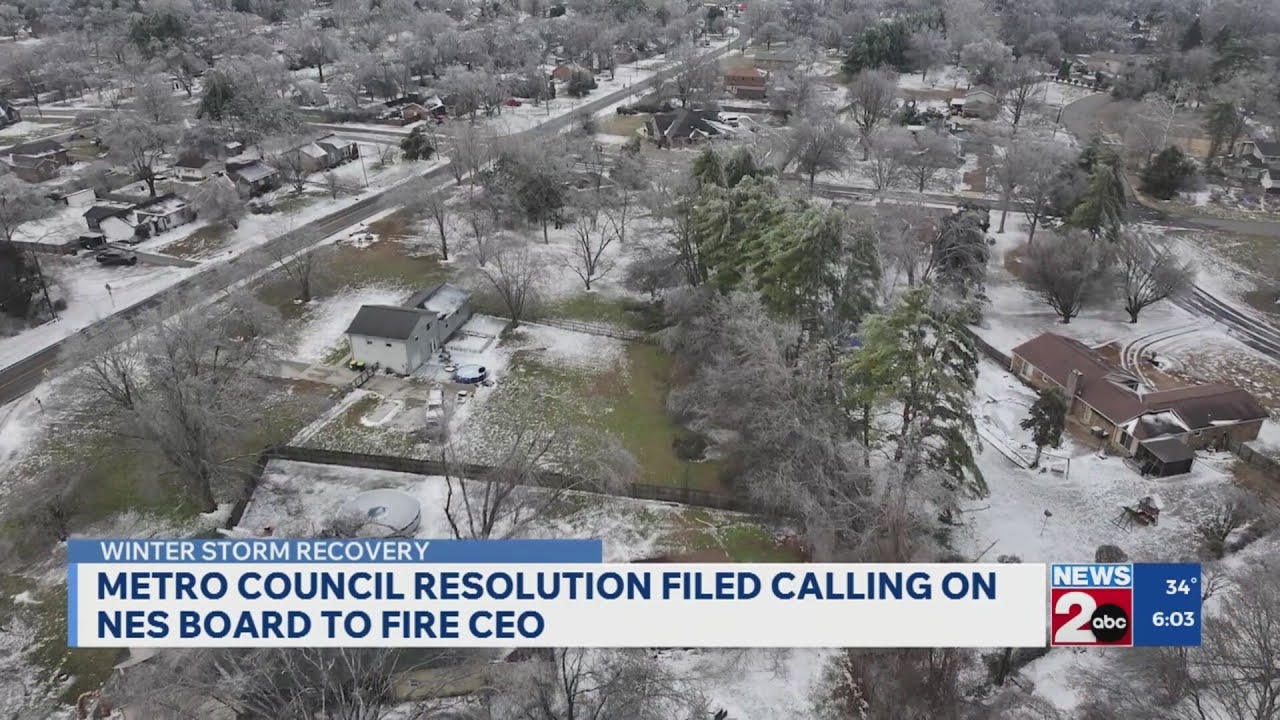 Metro Council resolution calls on NES board to fire CEO