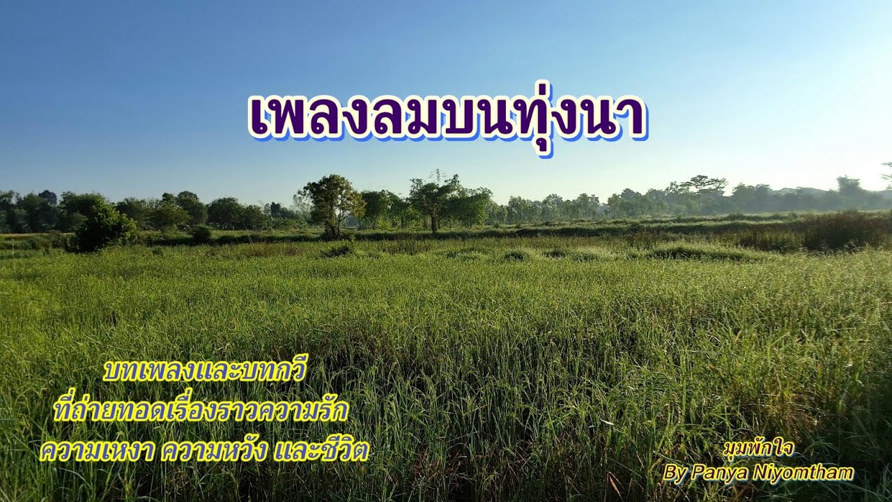 เพลงลมบนทุ่งนา
