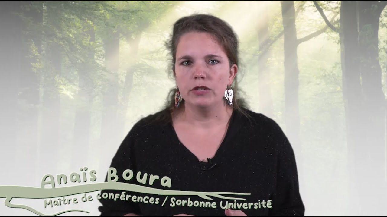 Comment identifier les arbres ?