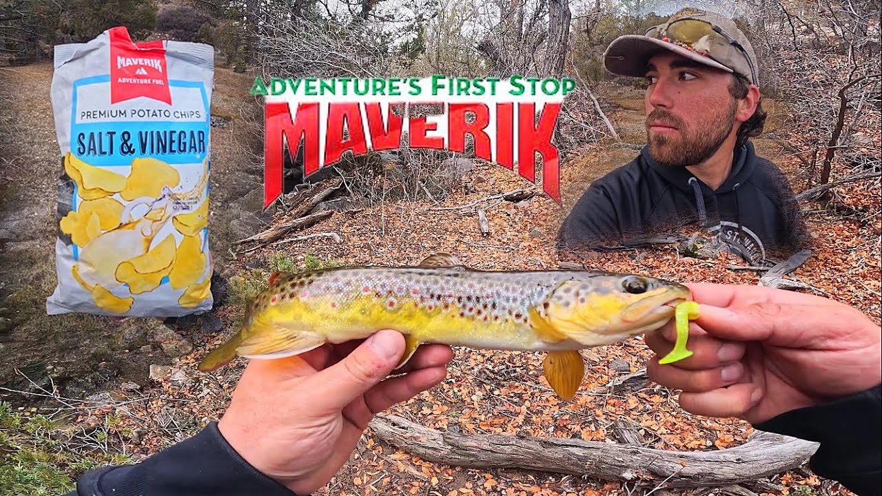 ФОРЕЛЬ В СОЛЕНО-УКСУСНОЙ КОРОЧКЕ MAVERIK!!! (Поймай и приготовь)