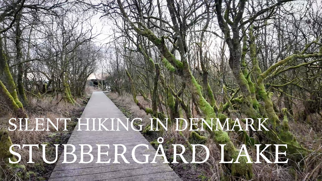 Stubbergaard Lake - Stubbergaard Monastery - Naturen i Danmark - Silent Hiking in Denmark