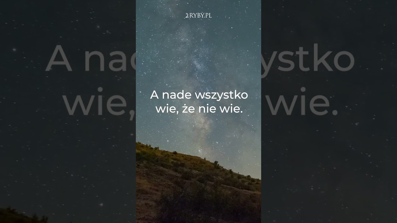 To jest szczyt mądrości. Masz ją w sobie? ✨