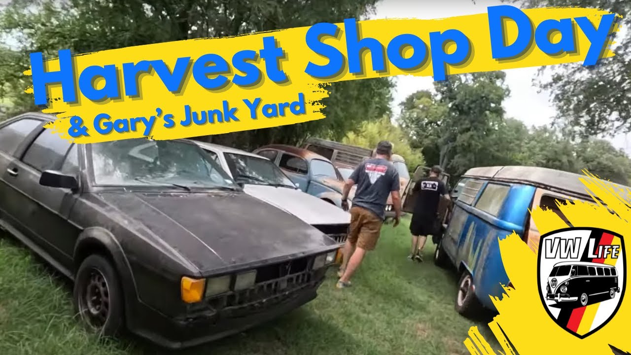 Shop Day on the Harvest Beetle '25 with Three Rescued Volkswagens....From behind the shop!