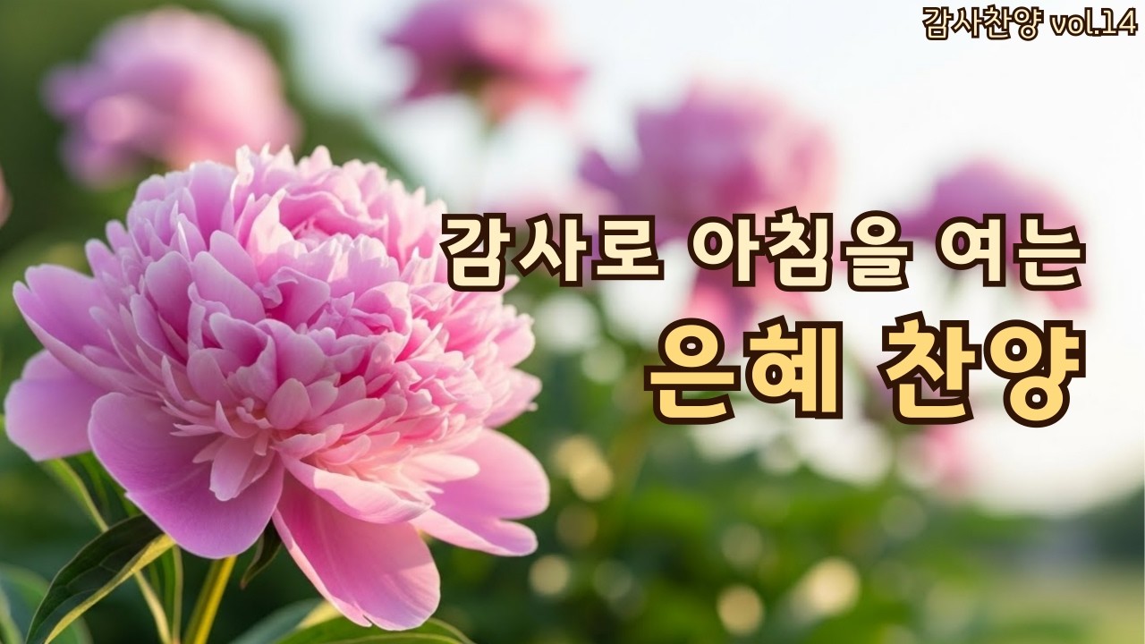 아침을 여는 평강 찬양 | 신뢰로 여는 아침 | 평강의소리 #14