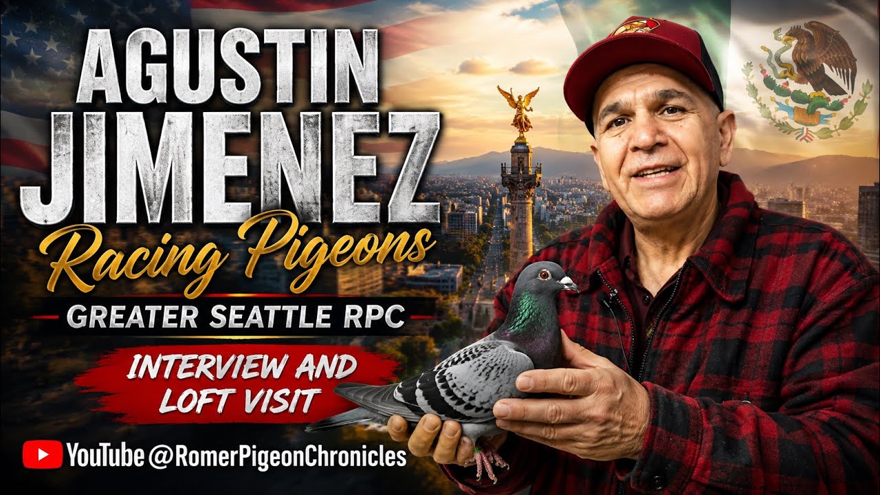 Greater Seattle Racing Pigeon Club and Interview with Agustin Jimenez