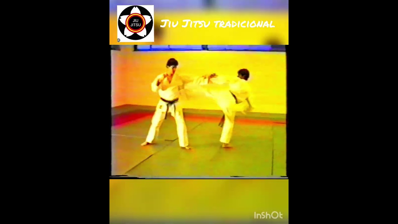 CINTURON NARANJA , GOKYO JIU JITSU TRADICIONAL.