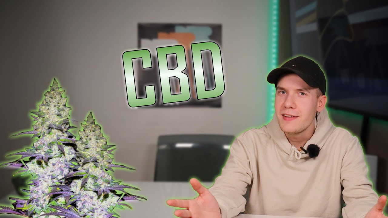 CBD | Was du dar&uuml;ber wissen solltest