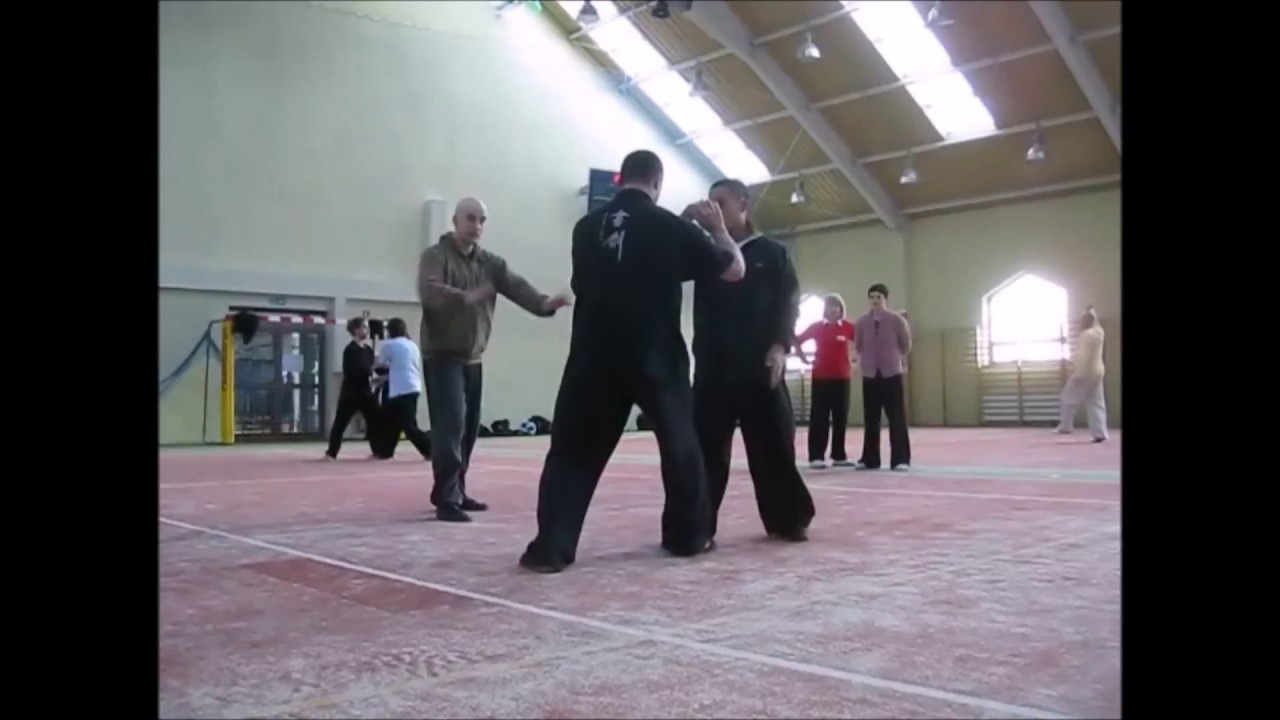 Tui Shou Practice with Chen Ziqiang - Warsaw, 2011