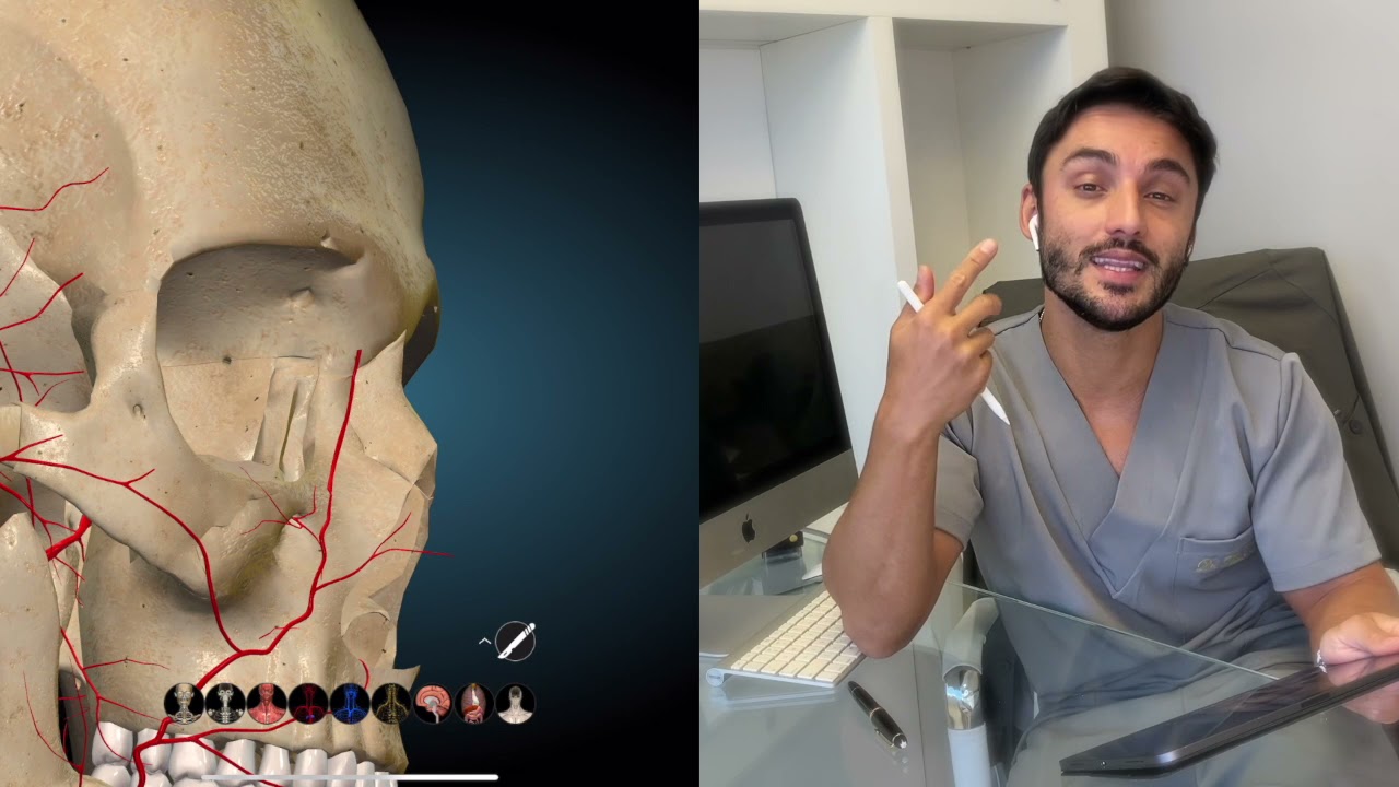 Anatomia da artéria Facial