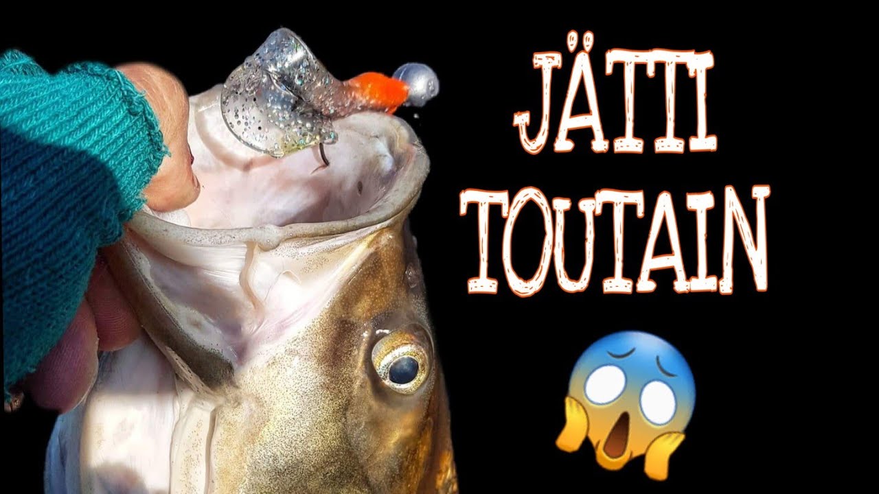 ISOJEN TOUTAIMIEN KALASTUSTA | NAPPAAKO TOUTAIN JIGIIN |