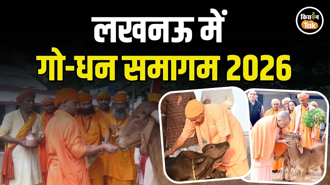 UP News: लखनऊ में होगा गो-धन समागम 2026, जानिए क्यों खास है ये कार्यक्रम? #cmyogi #yogiadityanath