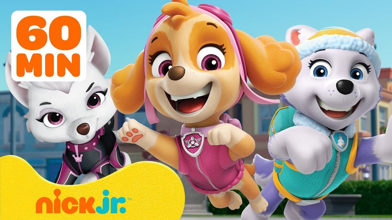 Psi Patrol: Godzina dziewczyńskich akcji z Skye, Sweetie i Everest! | Nick Jr. Polska