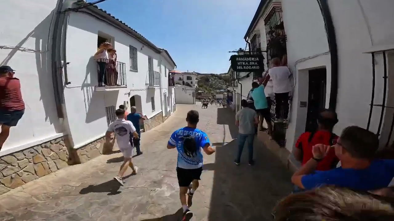 Toro de cuerda Villaluenga del Rosario 2023 